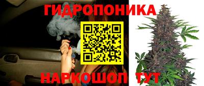 стафф Гусев