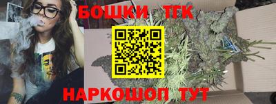 стафф Гусев