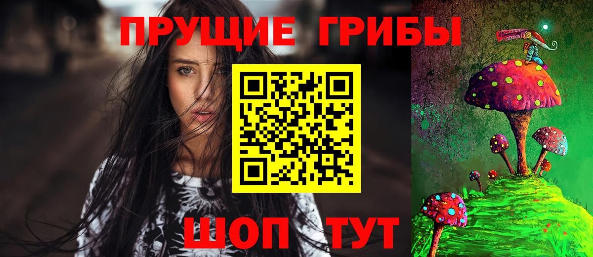 Псилоцибиновые грибы GOLDEN TEACHER  Вход с VPN  купить наркотики цена  Дагестанские Огни 