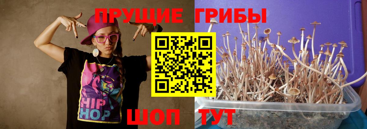Псилоцибиновые грибы Magic Shrooms Дагестанские Огни